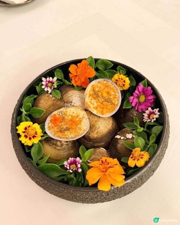 係峇里食左性價比好高既法國西餐😛每道菜都好似畫咁靚，色香味俱...