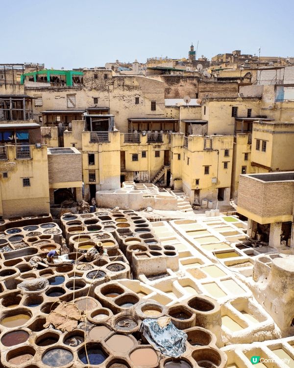 🇲🇦摩洛哥遊記ep3 - 迷宮之城 Fes