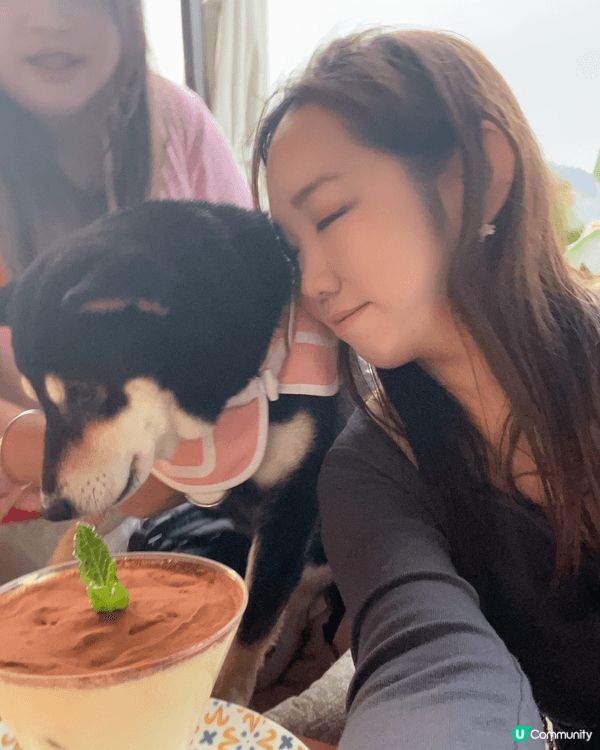 去左牛大人，玩問答遊戲。 再同狗狗nana 去咗食泰國菜。