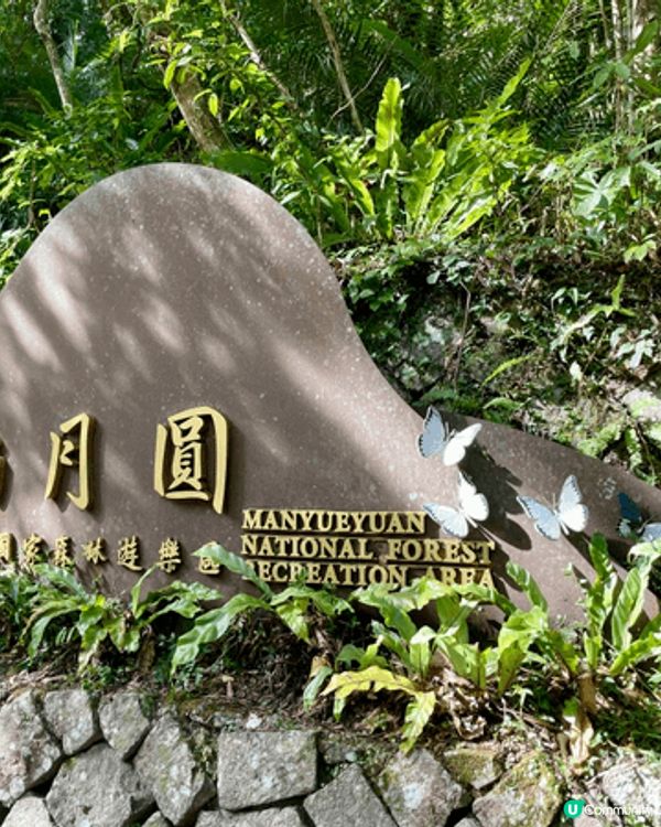 前排去了台灣的公園，很大也很好看，被太陽直射的機會也不多，在...