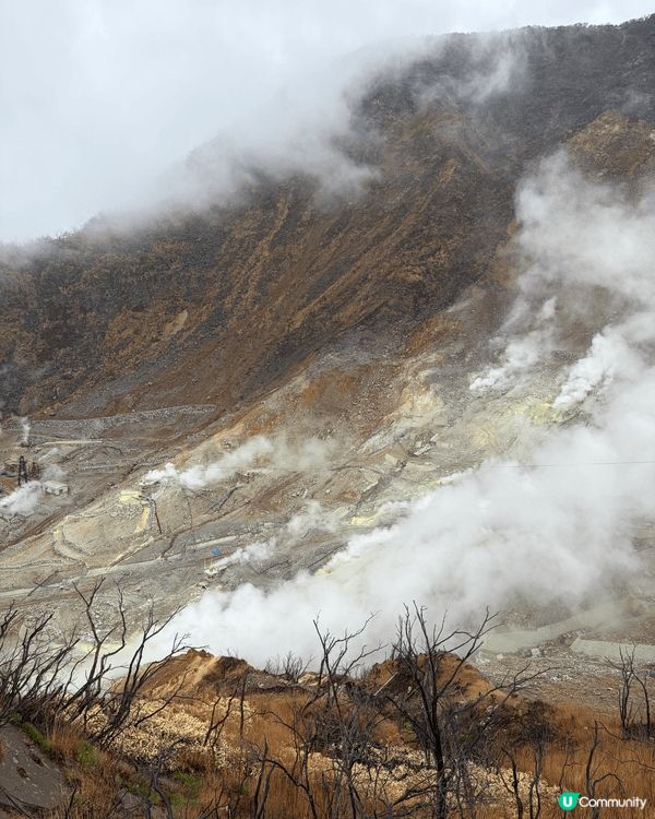 大涌谷是約3000年前箱根火山🌋大規模噴發而形成的活火山谷地...