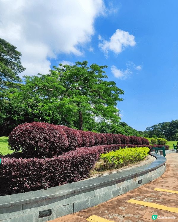 🌳東莞植物園位於南城區綠色路99號，佔地約468公頃，是集植...