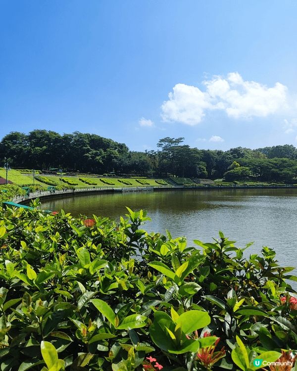🌳東莞植物園位於南城區綠色路99號，佔地約468公頃，是集植...