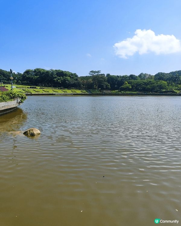 🌳東莞植物園位於南城區綠色路99號，佔地約468公頃，是集植...