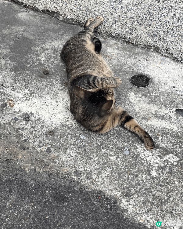 今個佛誕，去左台灣高雄，由香港出發搭左90分鐘左右便到達，再...