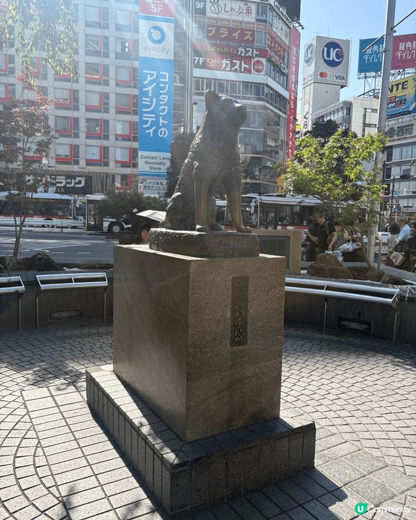 最近去咗日本東京既澀谷，不愧為最繁忙嘅十字路口，好多人，嗰度...
