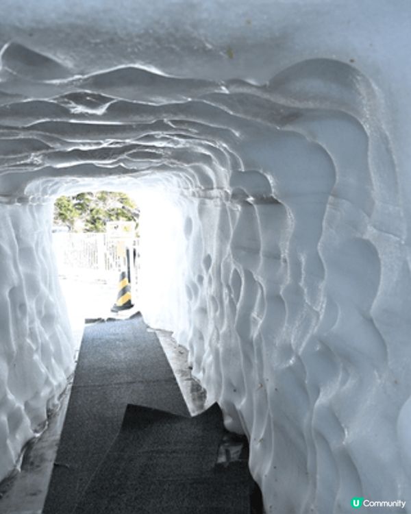 立山黑部是日本阿爾卑斯的壯麗景觀，以巨大雪牆與黑部水壩聞名，...