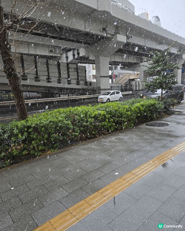 春季東京，估不到3月都會看到下雪，而且還下比較久及比較大，是...