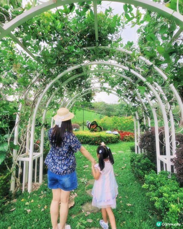 童話色彩🍄📸 荔枝角公園夢遊仙境✨