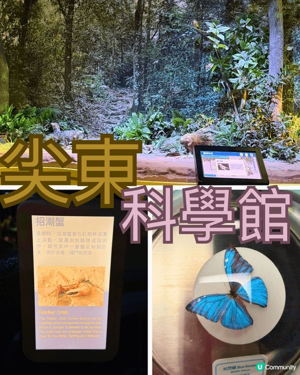 已經唔知幾多年冇入過科學館，今次再嚟發現真係變化超大！畢竟已...
