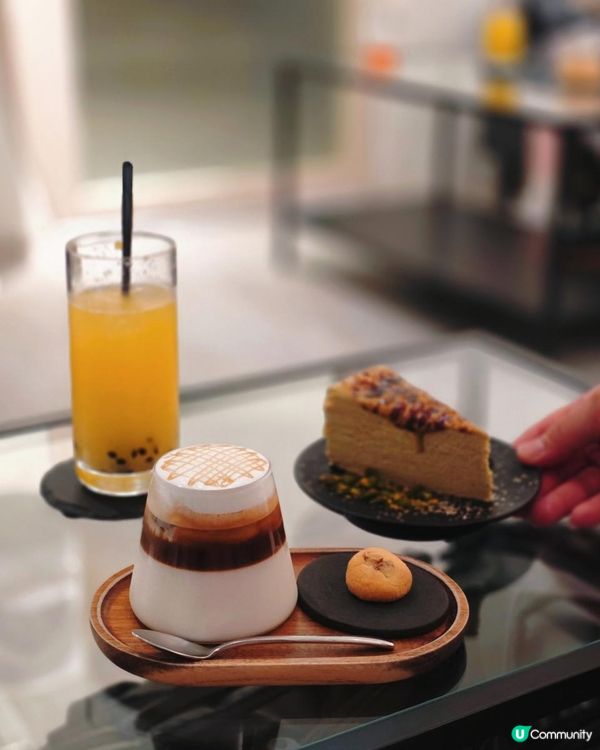 【台北美食】台北尋貓記 華山 cafe ☕ 貓奴必到！✨