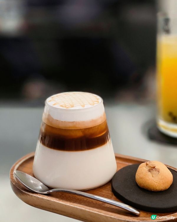 【台北美食】台北尋貓記 華山 cafe ☕ 貓奴必到！✨