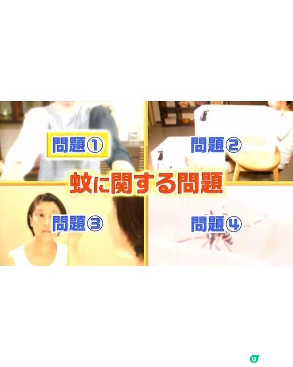 🦟唔好即刻拍死！日節目揭4大防蚊冷知識💡夏天出門著1顏色最安全👕
