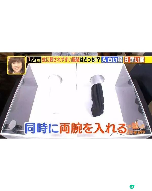 🦟唔好即刻拍死！日節目揭4大防蚊冷知識💡夏天出門著1顏色最安全👕