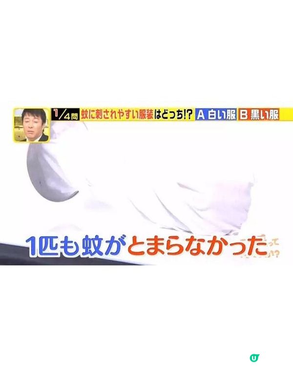 🦟唔好即刻拍死！日節目揭4大防蚊冷知識💡夏天出門著1顏色最安全👕