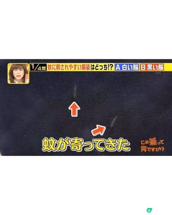 🦟唔好即刻拍死！日節目揭4大防蚊冷知識💡夏天出門著1顏色最安全👕
