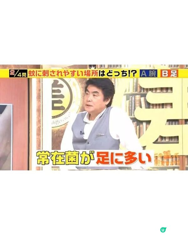 🦟唔好即刻拍死！日節目揭4大防蚊冷知識💡夏天出門著1顏色最安全👕