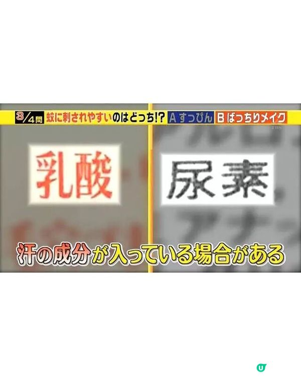 🦟唔好即刻拍死！日節目揭4大防蚊冷知識💡夏天出門著1顏色最安全👕