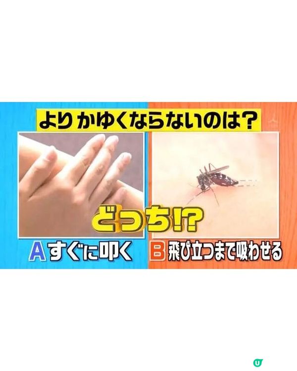 🦟唔好即刻拍死！日節目揭4大防蚊冷知識💡夏天出門著1顏色最安全👕