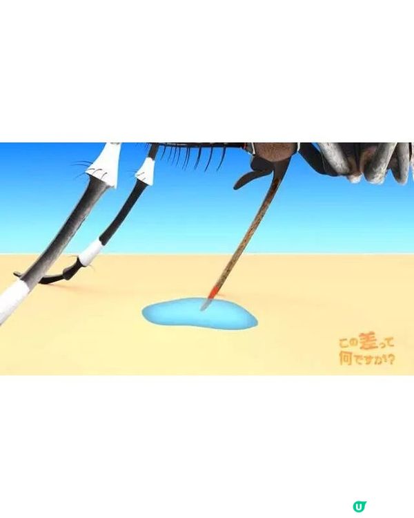 🦟唔好即刻拍死！日節目揭4大防蚊冷知識💡夏天出門著1顏色最安全👕