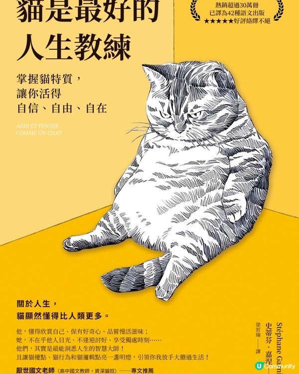 貓貓哲學💡 躺平贏人生！🤩