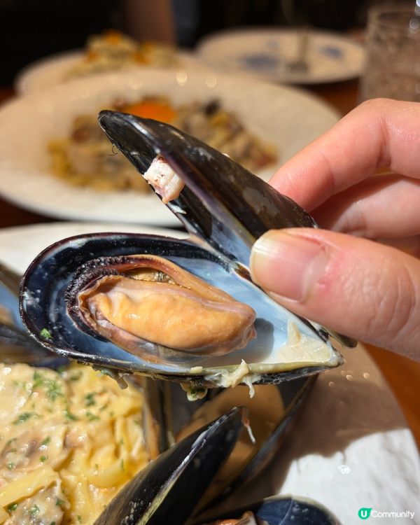 牛油果蟹餅🦀 清爽又惹味！😋