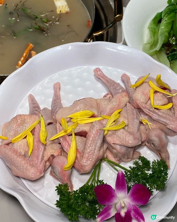 過關第一站!香港人15分鐘直達嘅乳鴿食堂,新出啫啫煲+養生鍋...