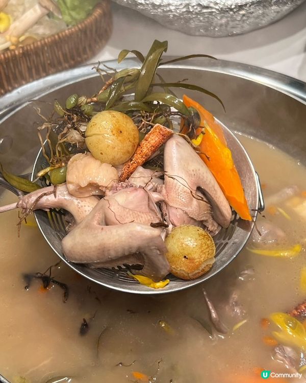 過關第一站!香港人15分鐘直達嘅乳鴿食堂,新出啫啫煲+養生鍋...