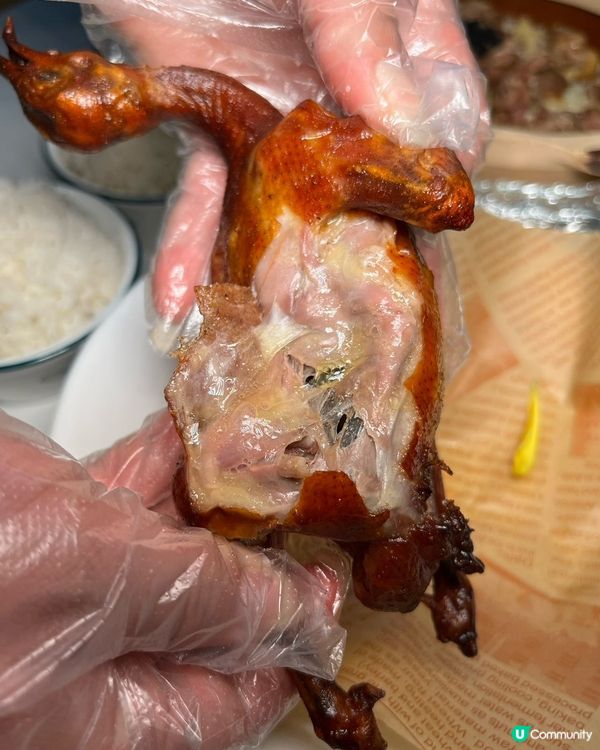 過關第一站!香港人15分鐘直達嘅乳鴿食堂,新出啫啫煲+養生鍋...