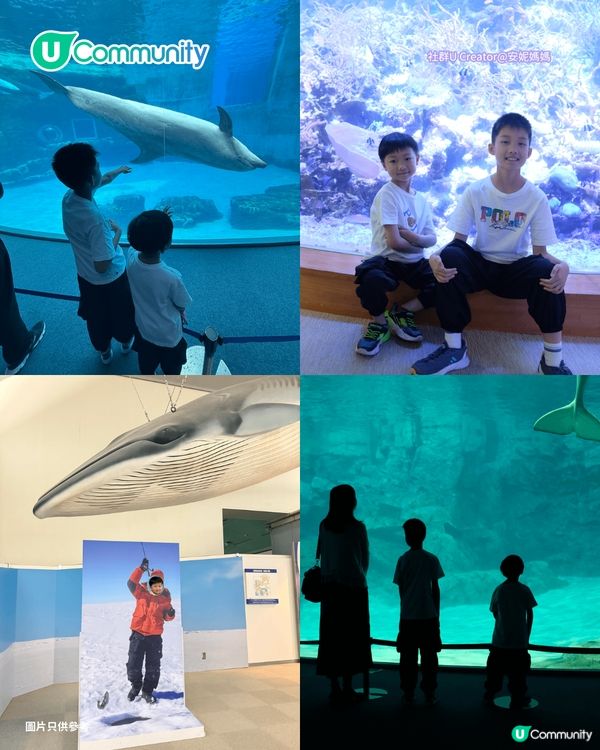 【暑假親子遊2026】名古屋親子遊8️⃣大景點推介 立山黑部開山／水族館／吉卜力公園