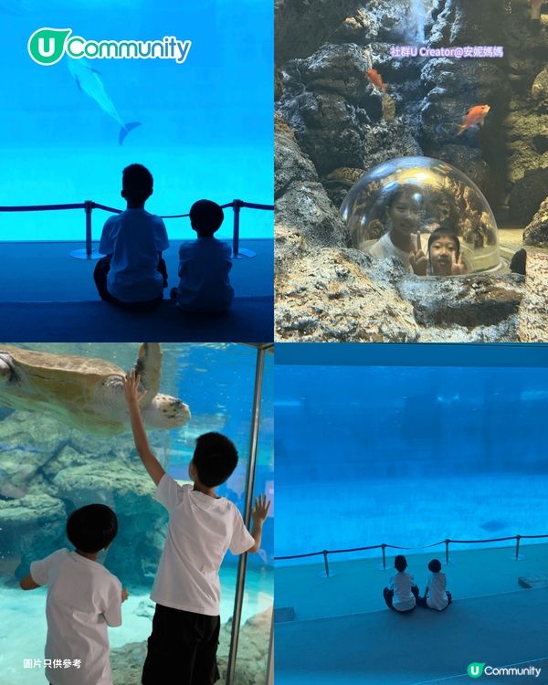 【暑假親子遊2026】名古屋親子遊8️⃣大景點推介 立山黑部開山／水族館／吉卜力公園