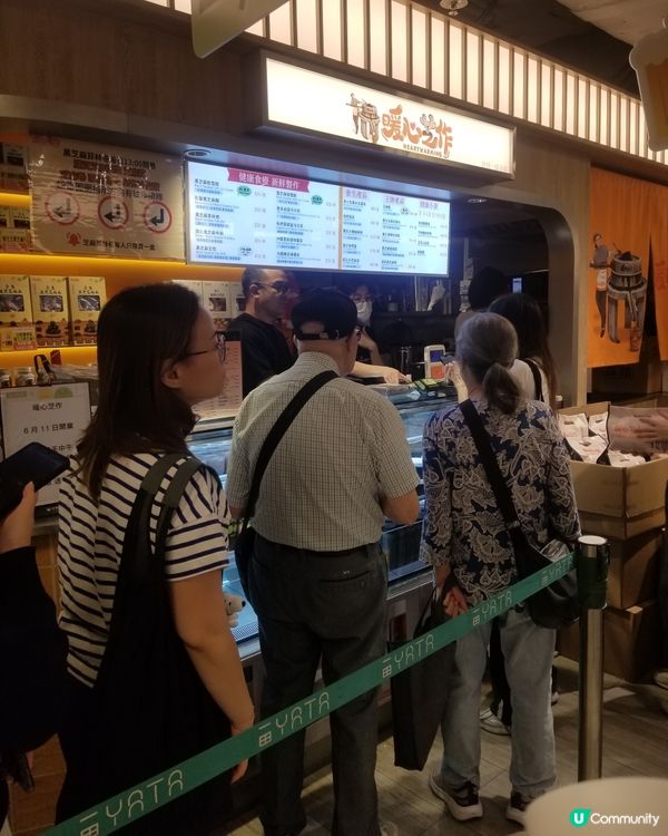 沙田一田新店~暖心芝作