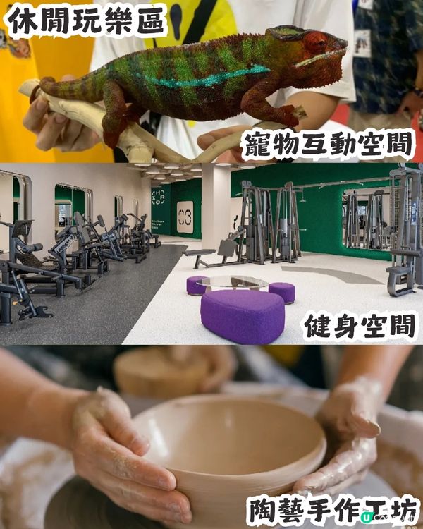 港人北上新據點！羅湖區3萬m²新商場國貿SPRING 6月18日開幕🎉50+新店進駐