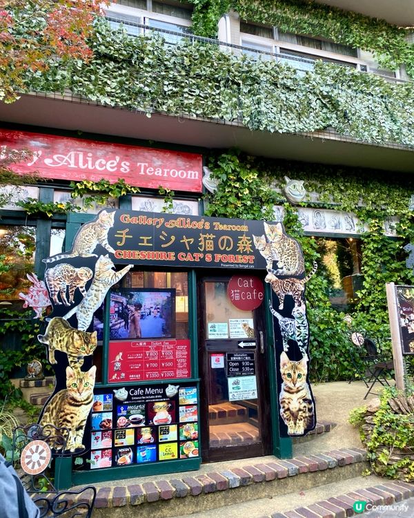 『日本』由布院英式童話世界🏰
