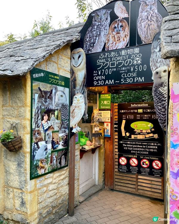 『日本』由布院英式童話世界🏰