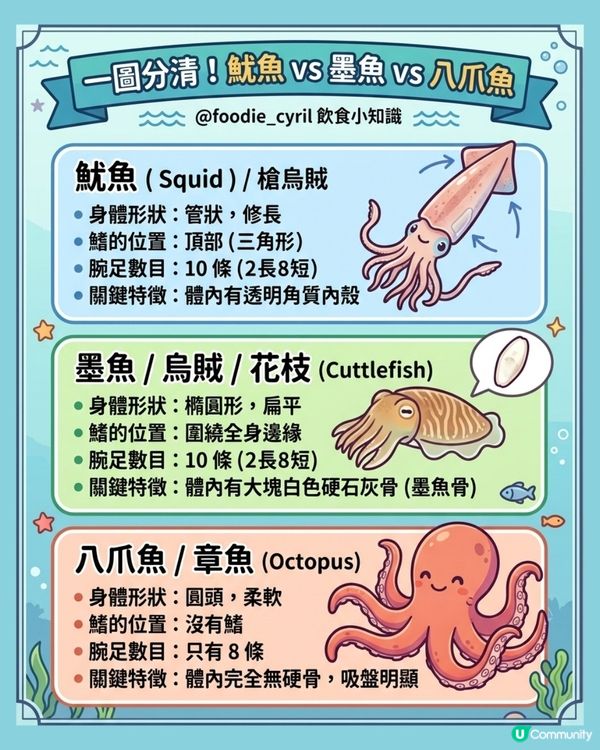 魷魚🦑vs墨魚🖤vs八爪魚🐙
