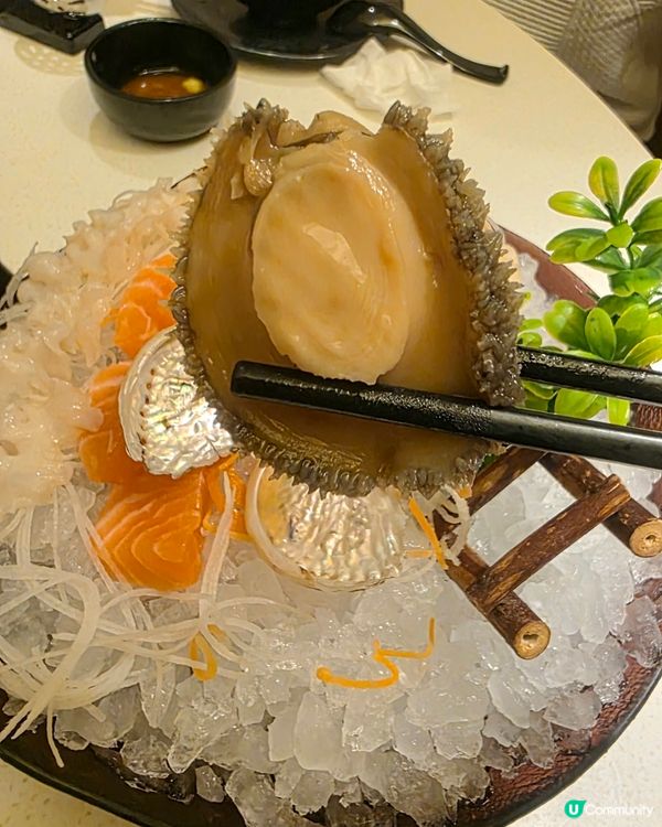 九龍城新發現 🍲 集合寵物友善＋兒童遊玩區＋大小獨立房火鍋