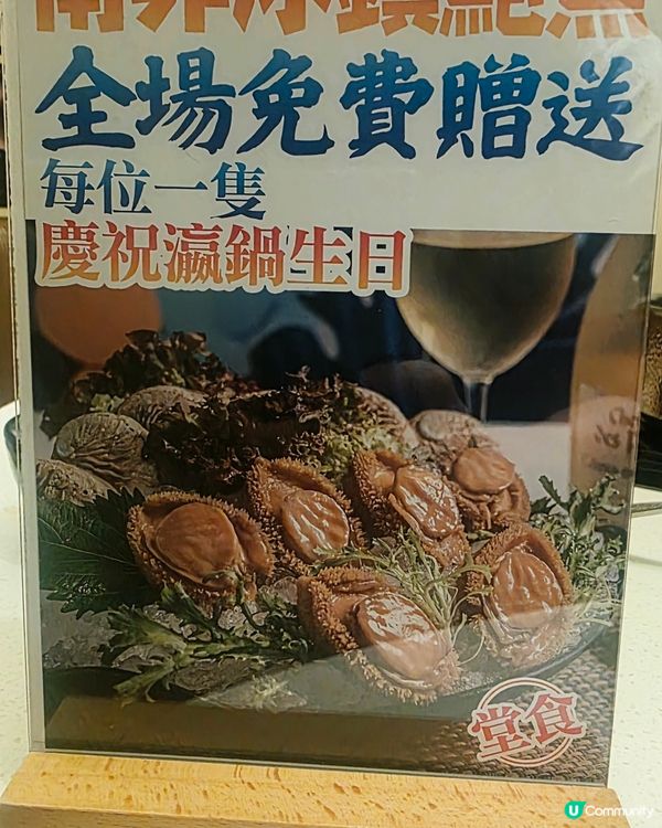九龍城新發現 🍲 集合寵物友善＋兒童遊玩區＋大小獨立房火鍋