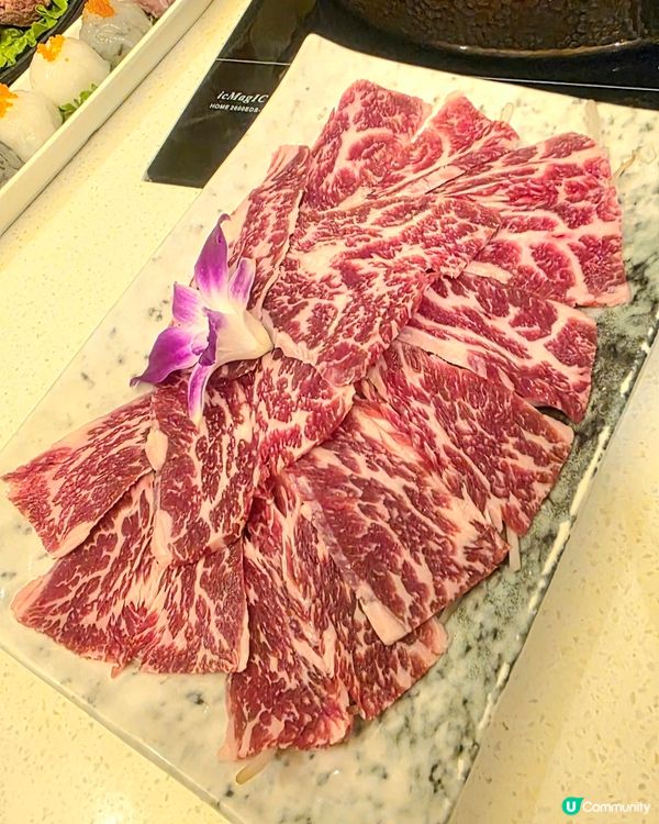 九龍城新發現 🍲 集合寵物友善＋兒童遊玩區＋大小獨立房火鍋