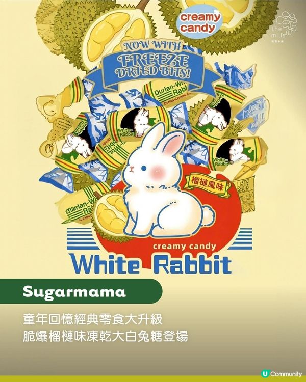 盛夏榴槤狂熱繼續蔓延！夏日榴槤忘返市集人氣檔主推介