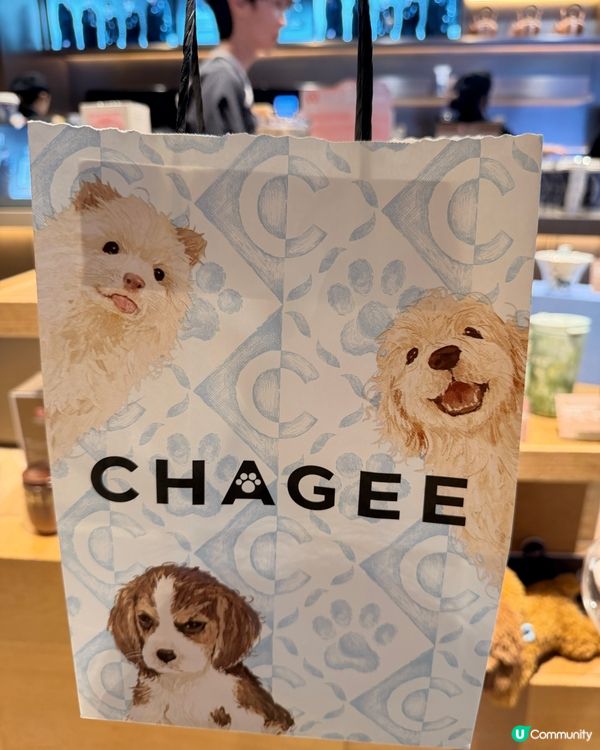 CHAGEE HK 夏日冰爽新品登場✨