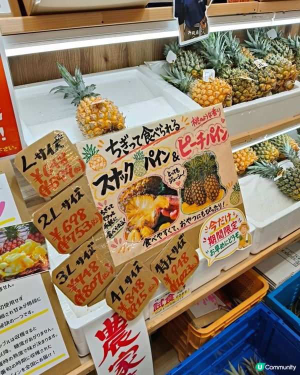 沖繩遊自駕遊 ｜靚靚海灘餵魚+國際通掃街+狂熱Churasu