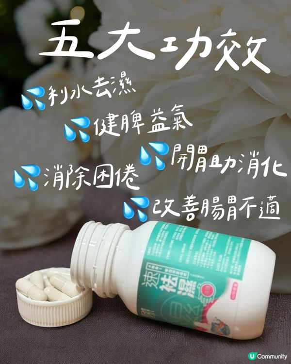 濕熱疲倦？😴🔥 秘訣係呢到！