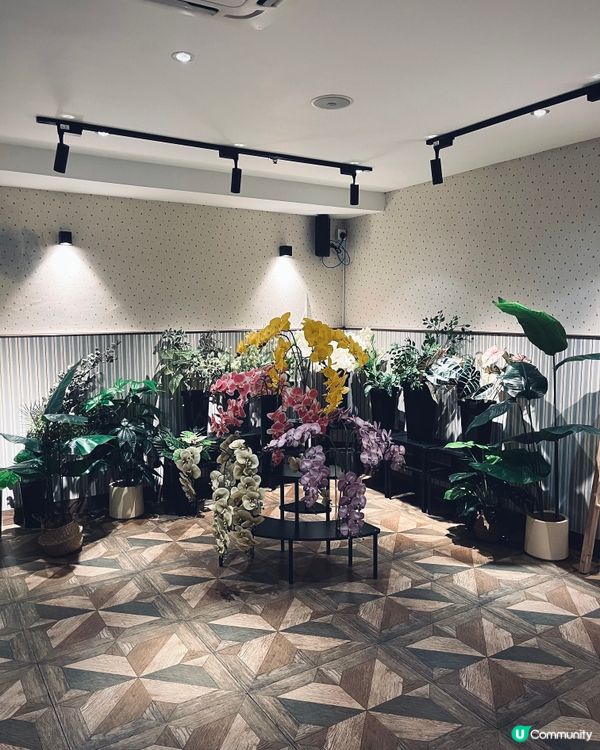 觀塘工廈新cafe✨新張優惠葡撻買三送一🤩