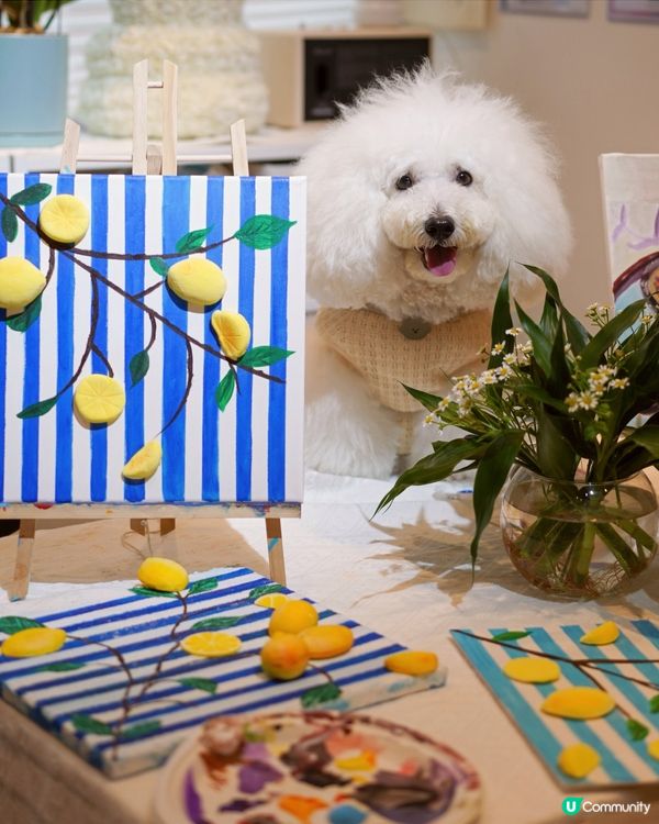 寵物友善畫室chill住畫🐶🎨