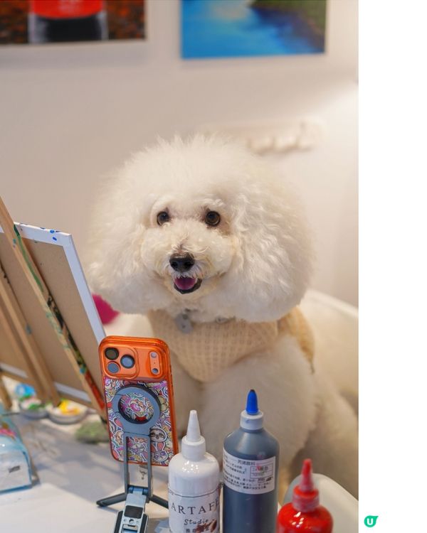 寵物友善畫室chill住畫🐶🎨