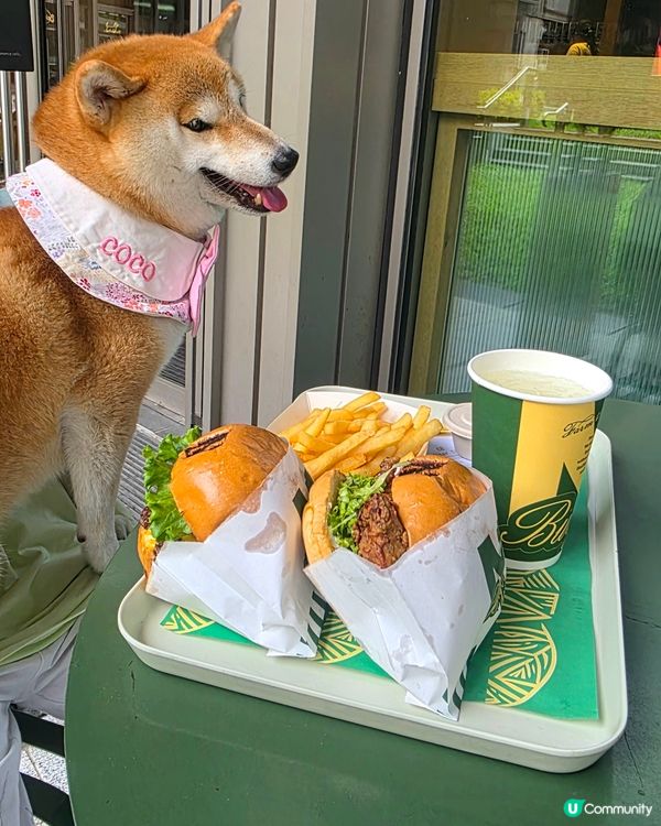 黃竹坑 the south side N Plus Burg...