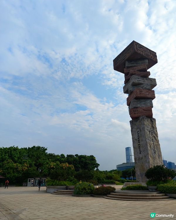 我愛花花之深圳灣公園限定·粉紙扇花海美到爆棚📸✨