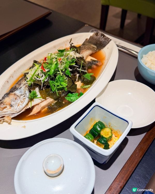 台北美食｜搭台鐵前喝珍珠奶茶、吃茶麵與台式料理