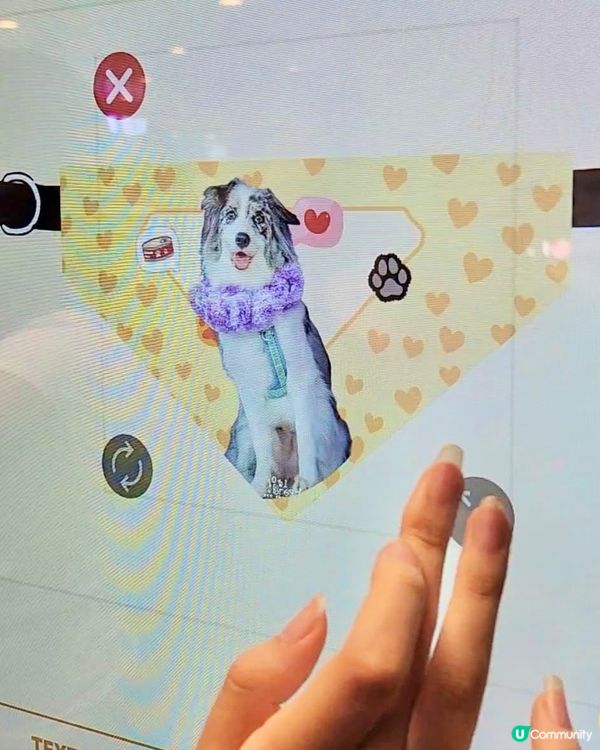 LG 韓式喵汪圈:寵物異味研究所🐱🐶 🕵🏻